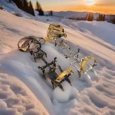 Charlet Moser Ramponi