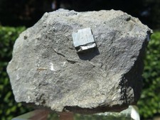 Minerali *** PIRITE CUBICA su