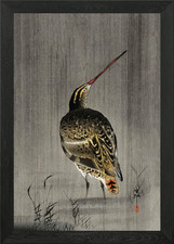 Poster arte da parete con