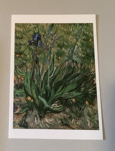 Cartolina artistica - cartolina,