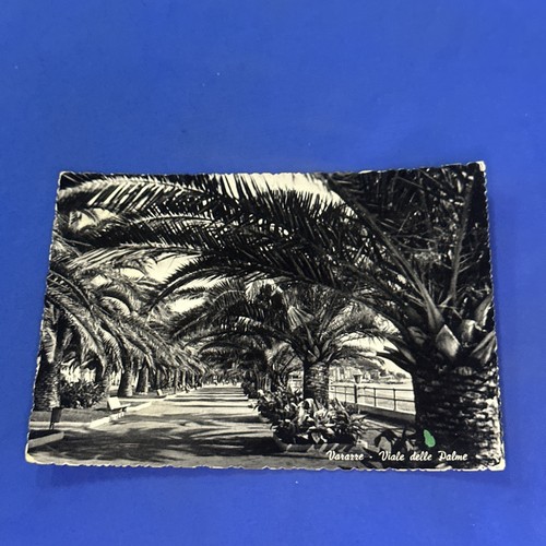 Varazze viale delle palme - varazze,