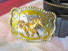 Gioiello sensazionale fibbia - gioiello,