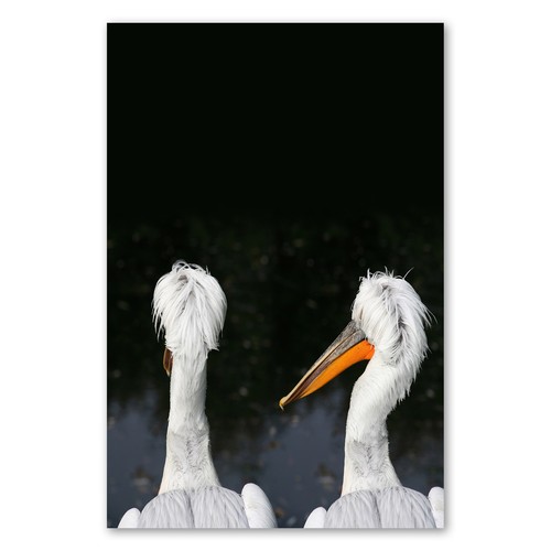 Postereck 1774 poster tela