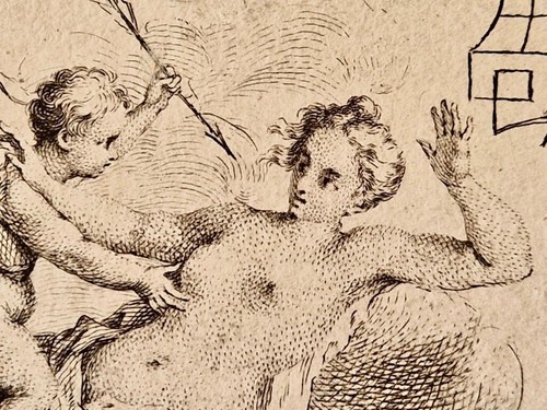 Vénus blessée par amour - vÉnus,