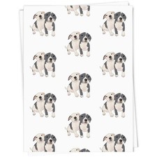 'Adorabili cuccioli di