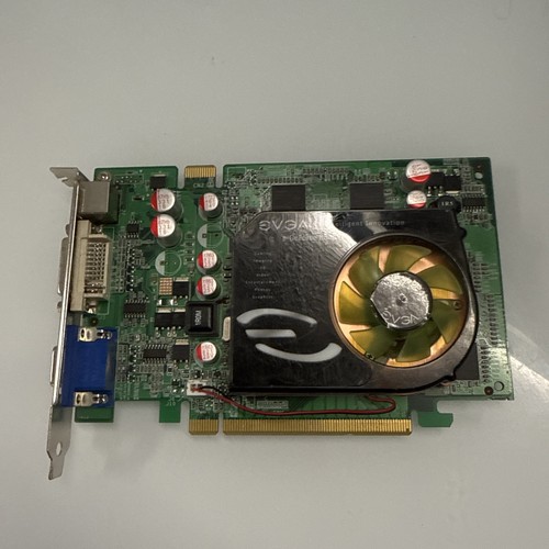Scheda grafica video evga - scheda,