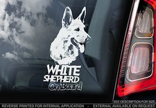 White Shepherd - Car Window