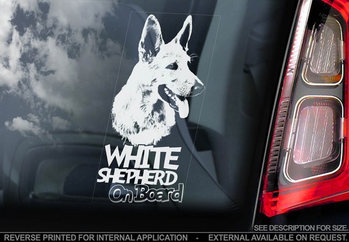 White shepherd car window - -,