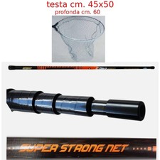 guadino telescopico carbonio mt. 5,50 pesca mare lago fiume con testa idro