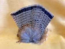 1 Ruff Grouse Tails Fanned