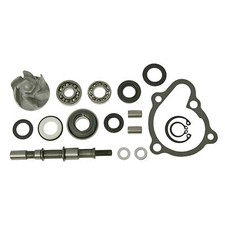 Riparazione delle pompe