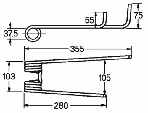 Dente girello sinistro - dente,