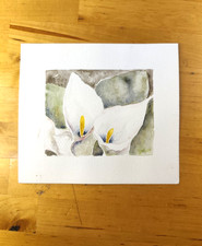 Acquarello Floreale 15x18cm -
