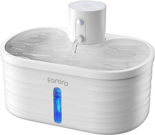 Fontanella per Gatti Senza