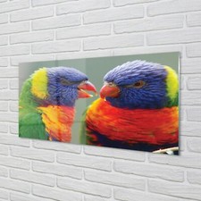 Quadro arte da parete stampa