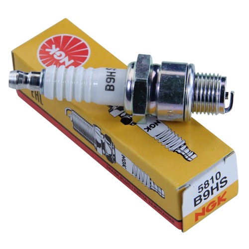 Candela accensione ngk - candela,
