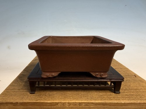Bonsai non smaltato tokoname - bonsai,