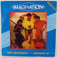 DISCO VINILE 33 GIRI NEW