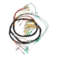 Cablaggio principale per