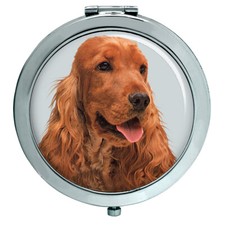 Inglese Cocker Spaniel