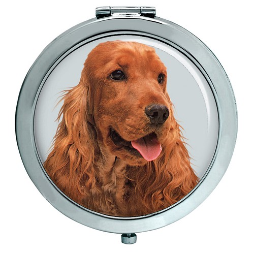 Inglese cocker spaniel - inglese,