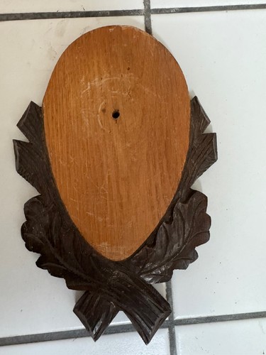 Scudo legno per trofei - in,