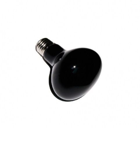 Lampada luna notturna rettili - luna,
