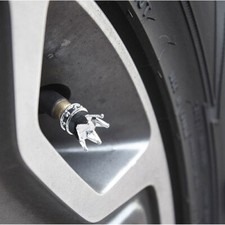 Valvola ruota pneumatico