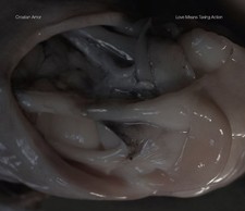 CROATIAN AMOR Love Means