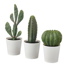 Ikea Cactus Fejka NUOVO set di