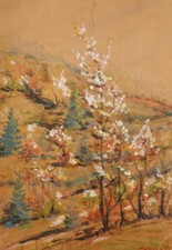 Dipinto acquerello originale