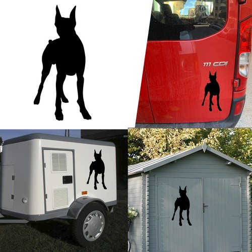Adesivo vinile doberman v4 - in,