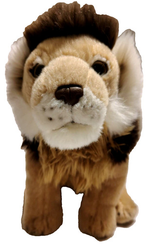 Peluche 2021 national - 2021,