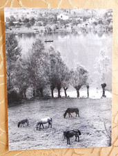 24X18  FOTO VINTAGE FOTOGRAFIA IDEA ARREDO BRESCIA PAESAGGIO LAGO D'IDRO CAVALLI