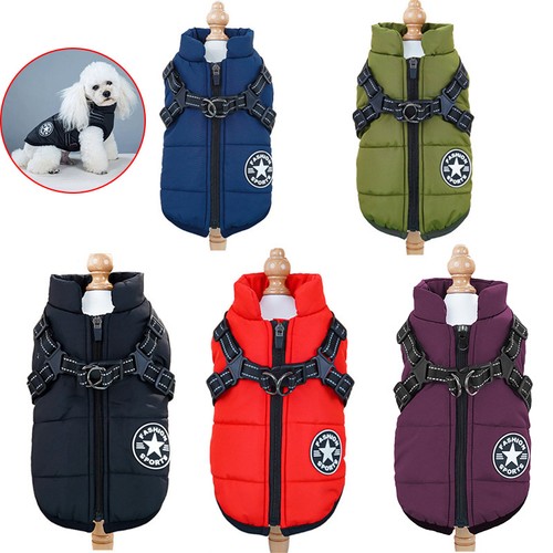 Winter gilet per cani dicker - winter,