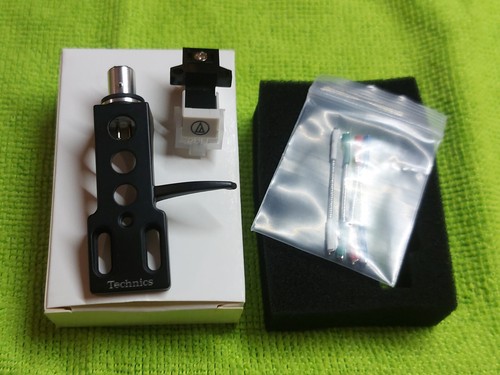 Testina puntina shell - testina, new