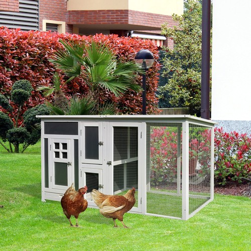 Pollaio per galline esterno - galline, da