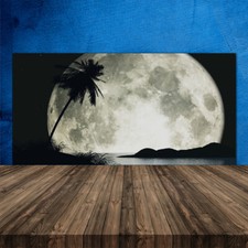 Paraschizzi da Cucina 120x60