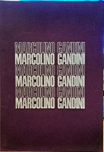 Libro marcolino gandini - libro,