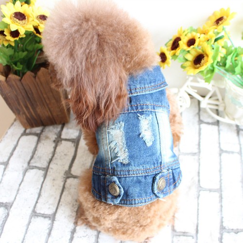 Abbigliamento per cani di - ,