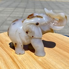 Elefante cristallo intagliato
