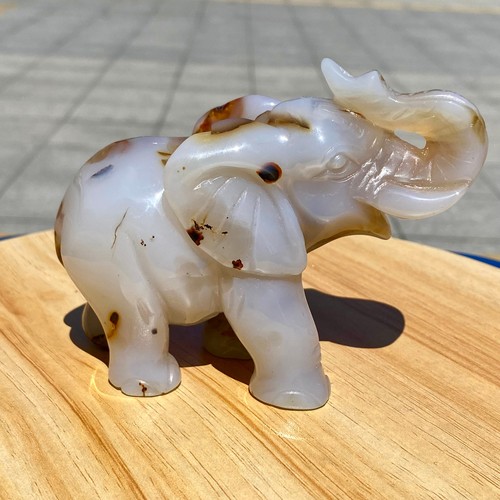 Elefante cristallo intagliato