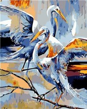 Dipingere con i numeri cicogne