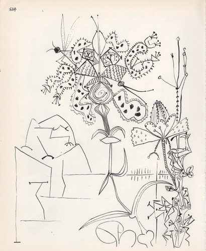 Pablo picasso plantes - picasso,