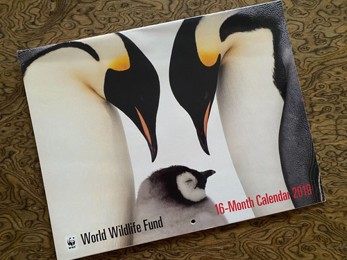 Calendario parete world - calendario,