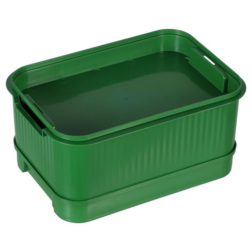 Germogli fagioli vivaio box - di,