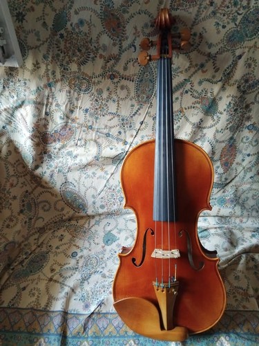 Violino seminuovo - violino, 4/4