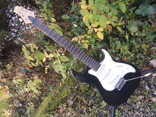 Guitare strato samick - samick, greg