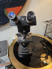 Microscopio binocolo vintage