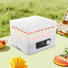 Macchina 5 Piani Alimenti Frutta Verdura Essiccazione Carne Disidratatore Carne